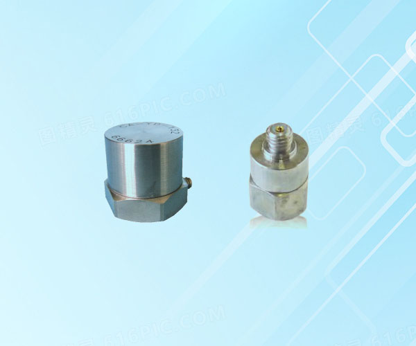 QZY6204IEPE�ͼ��ٶȴ�����